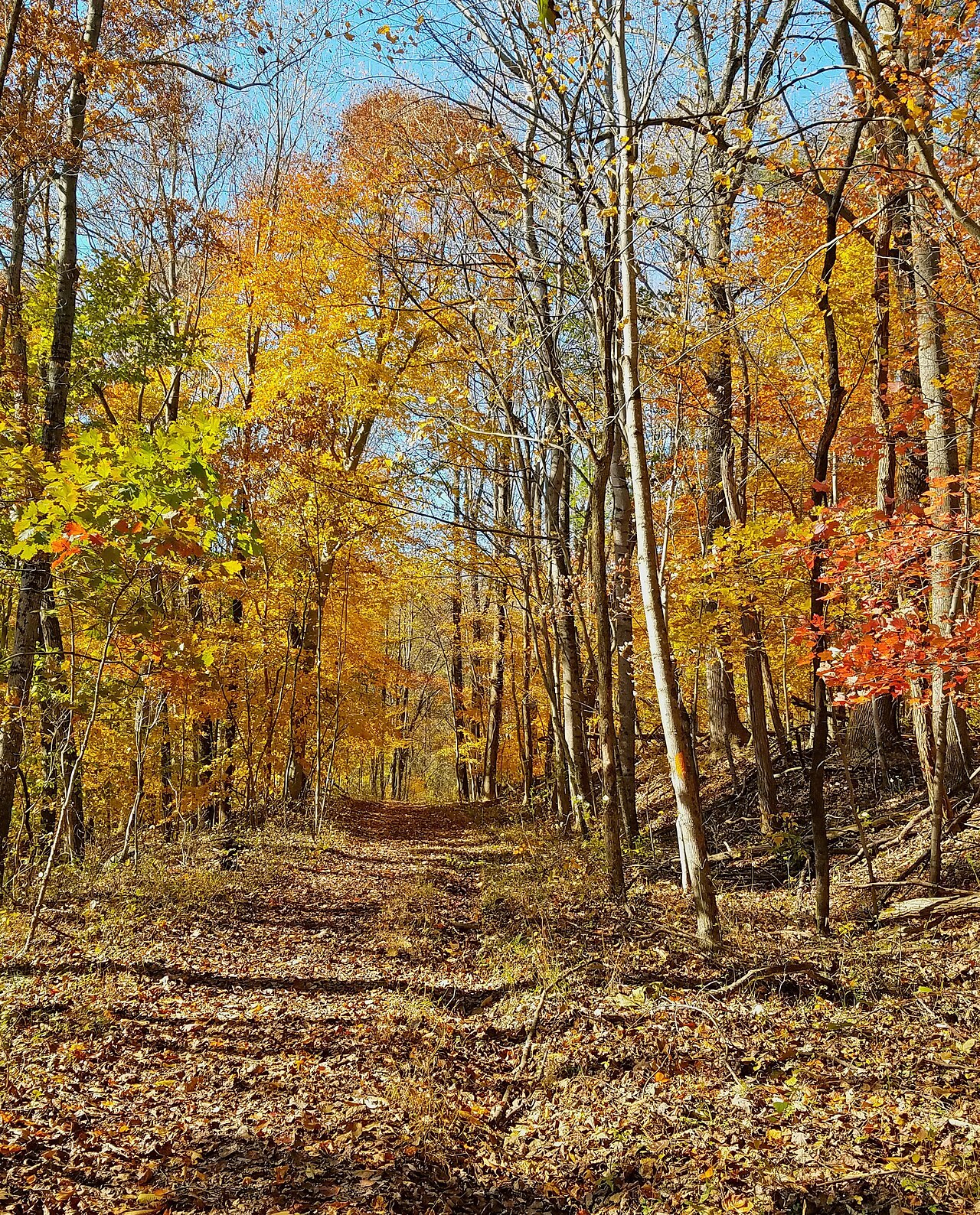 4 Mile Campsite