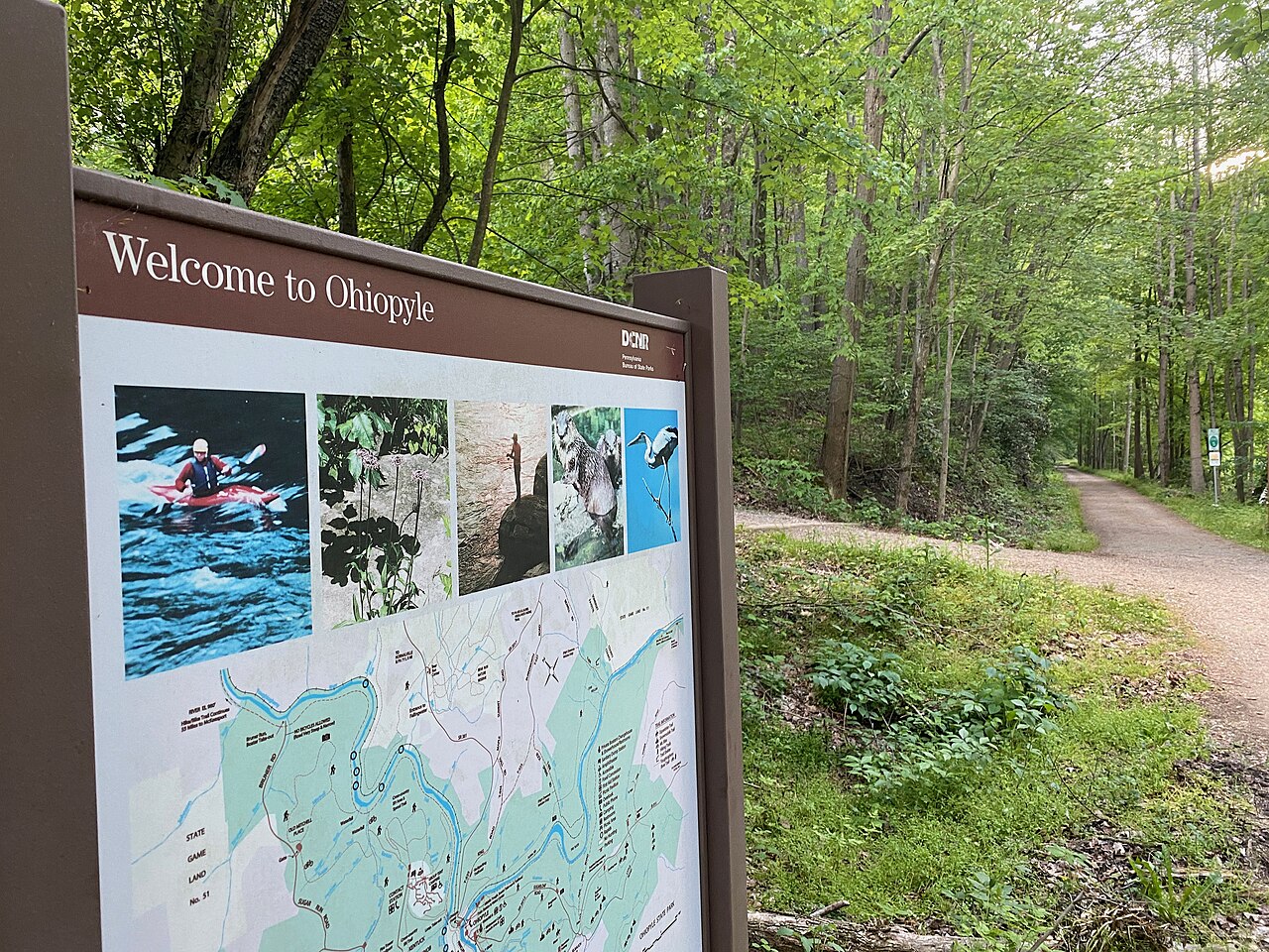 Paddler's Lane Campground