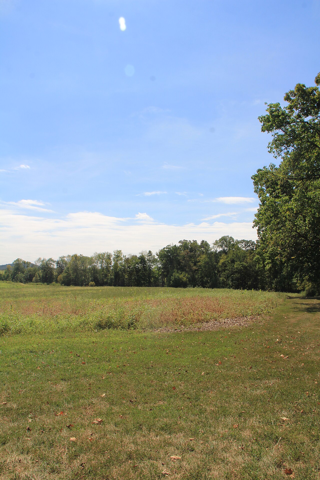 Mcillian Woods Youth Campground