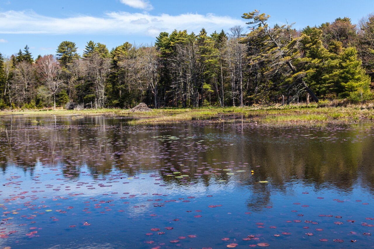 Sagadahoc Bay Campground