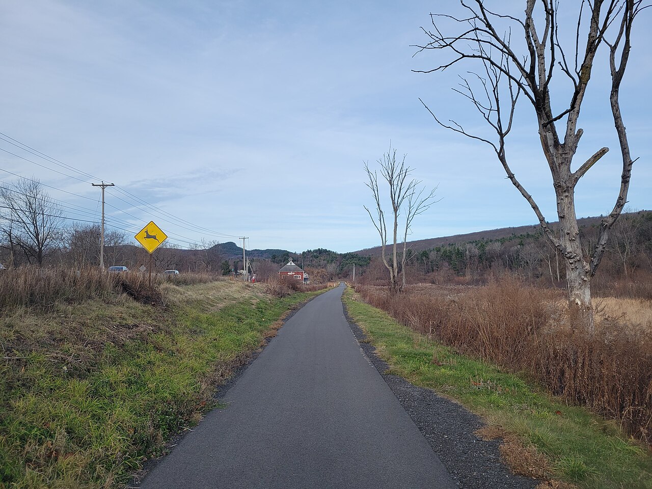 AT Thruhiker camping