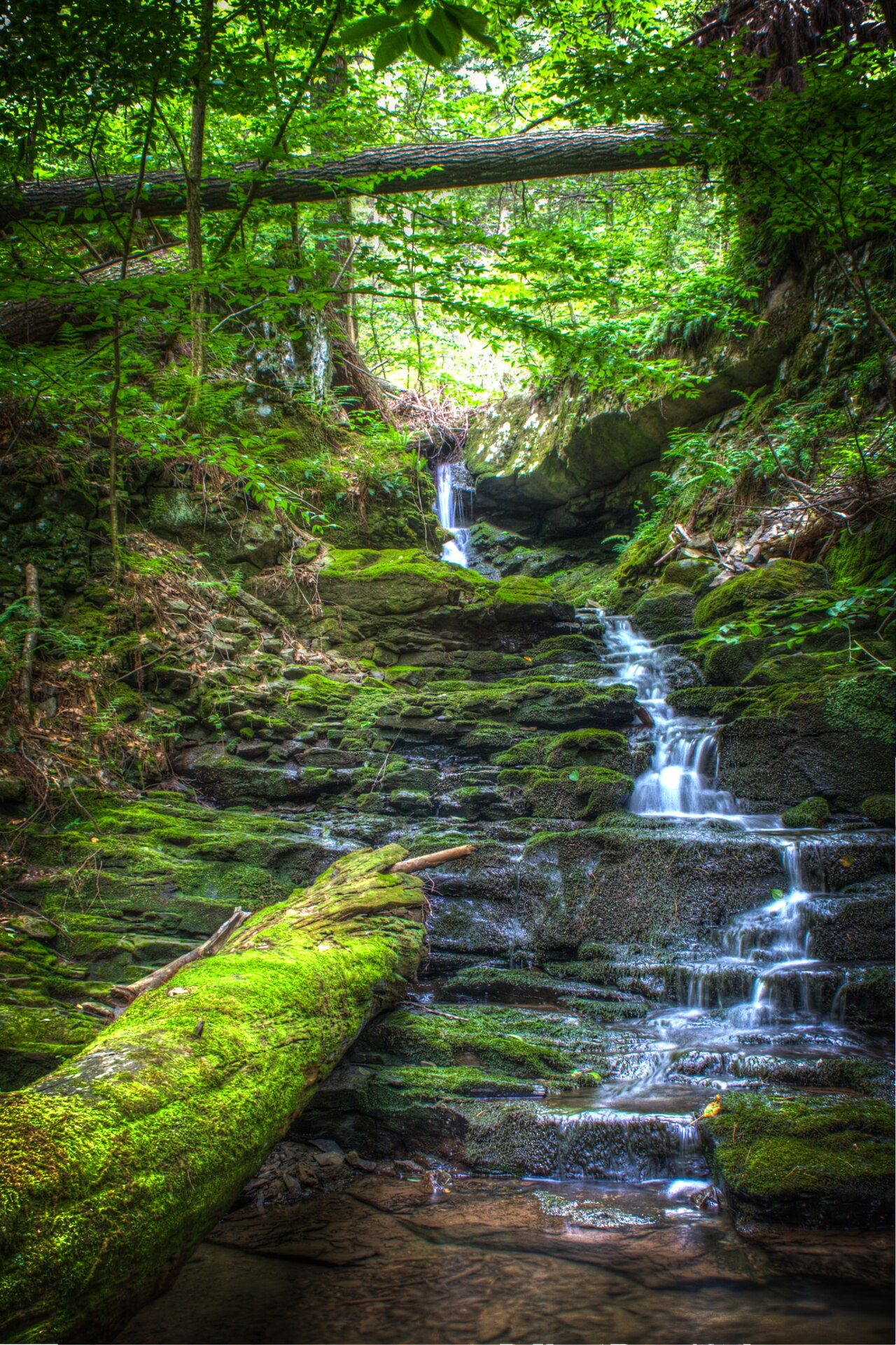 Camp Gan Israel in the Poconos