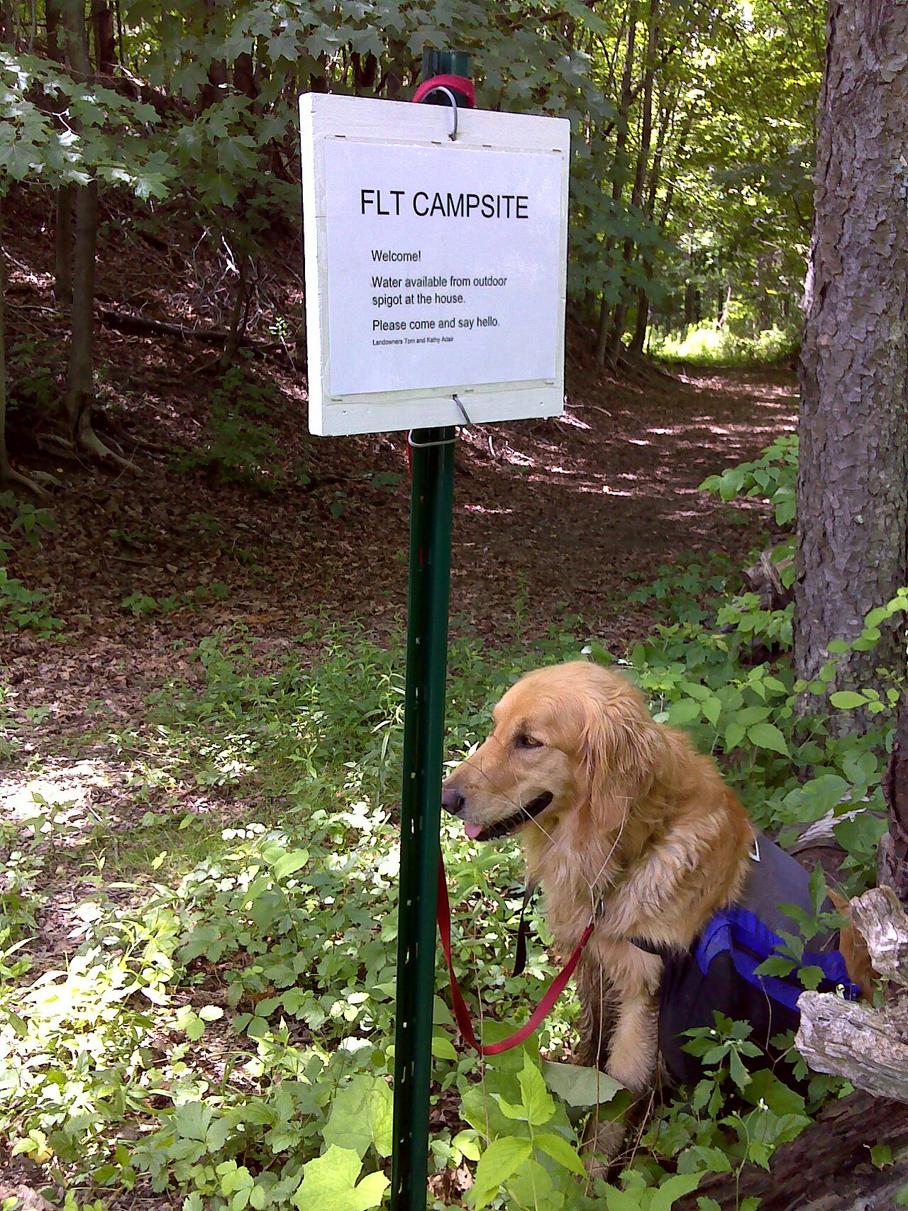 Bivouac