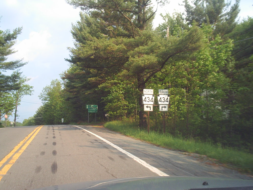 Pine Forest Camp