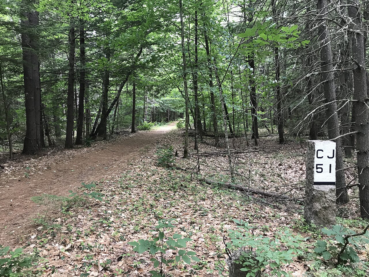 Camp Spaulding