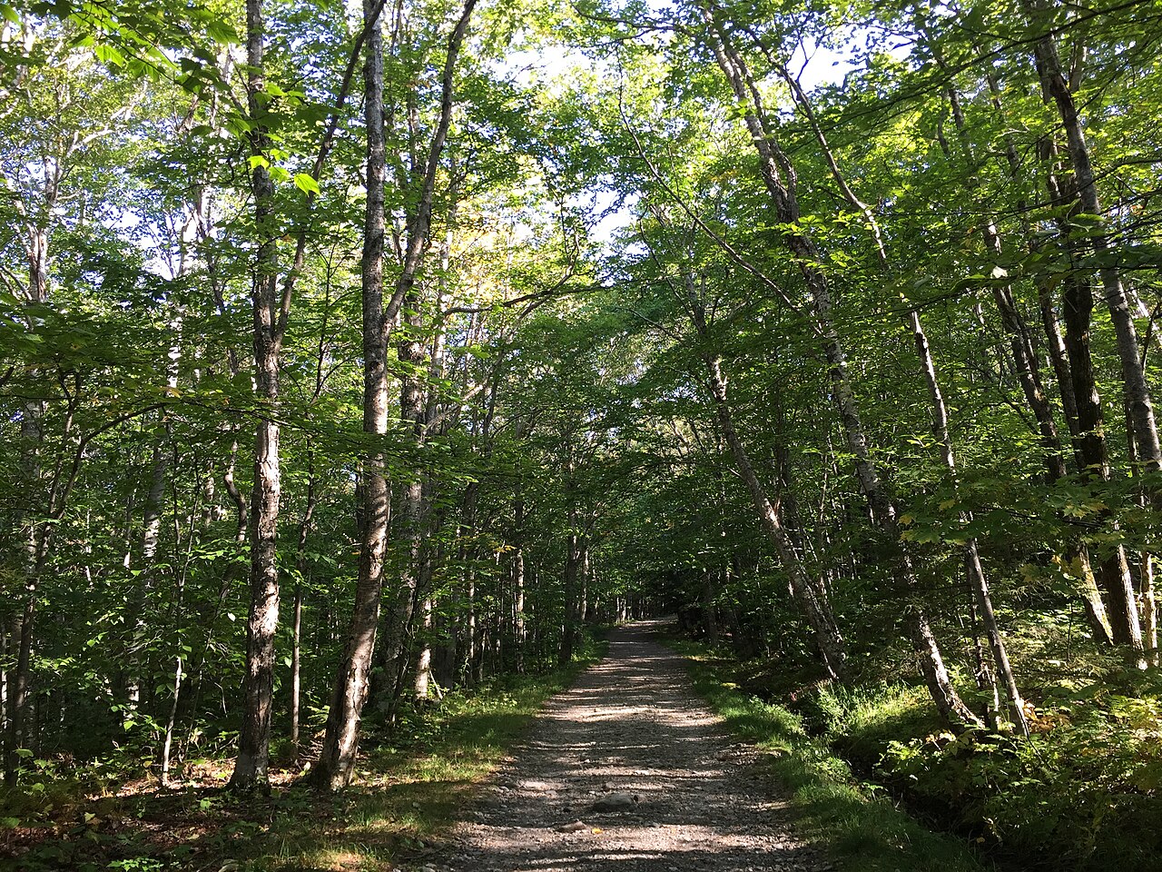 Group Camping Area