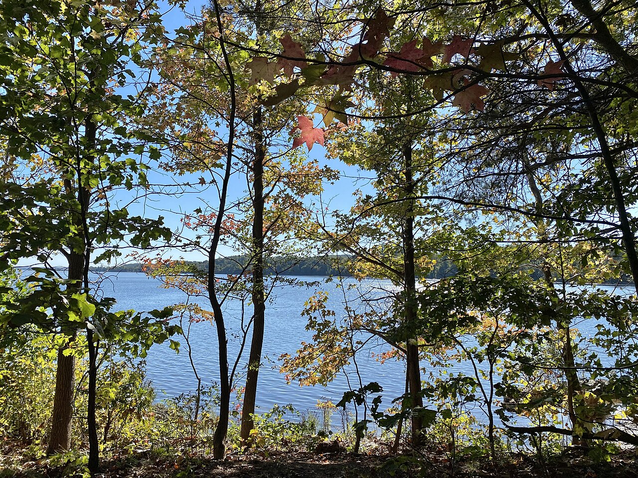 Leesylvania State Park Primitive Paddle-Only Campsites