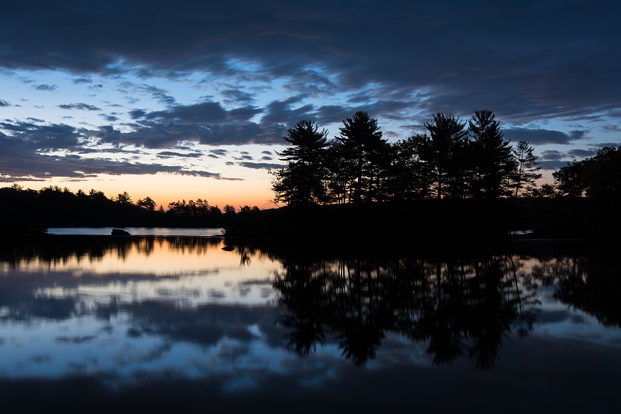 Cedar Pond
