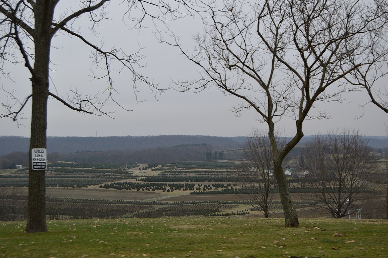 Pine Valley Camp