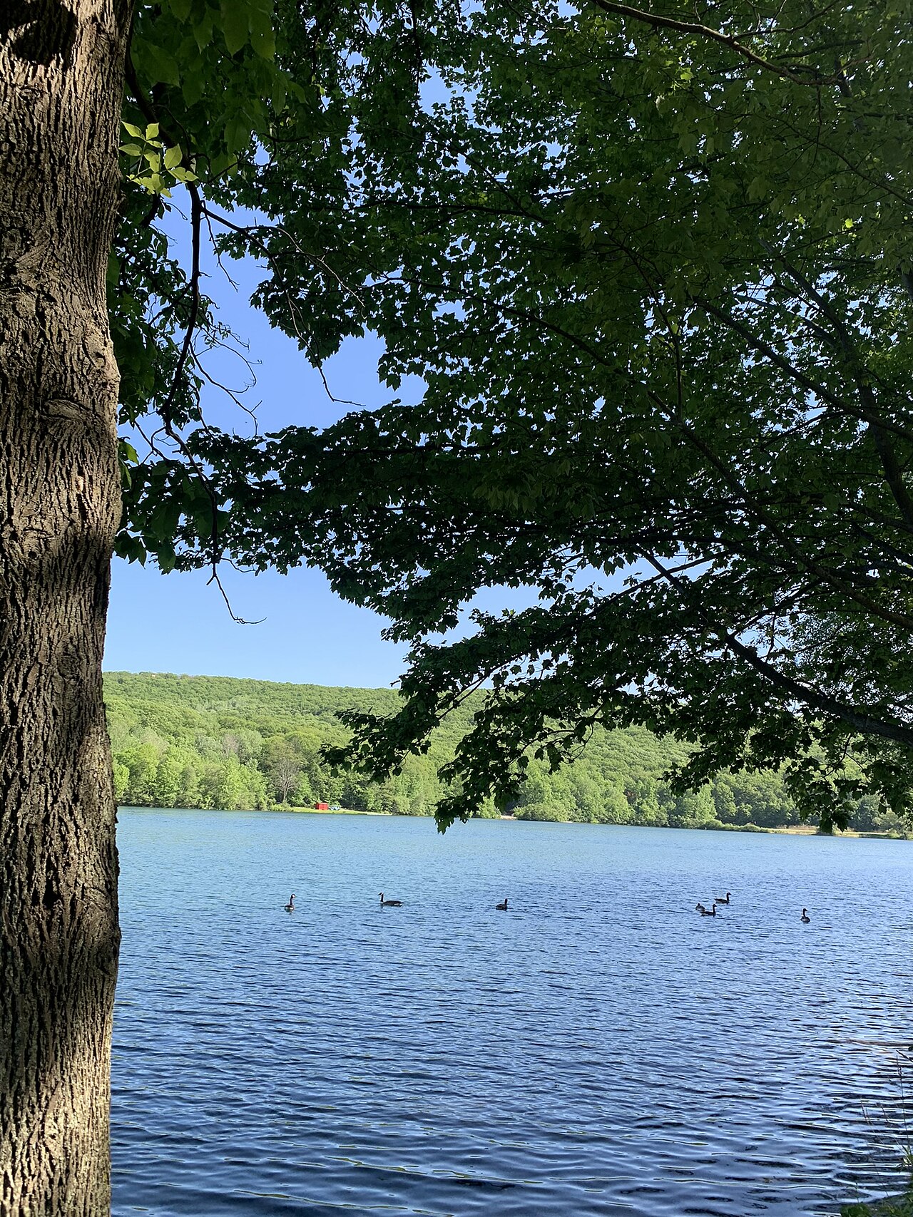 Camp Mariah