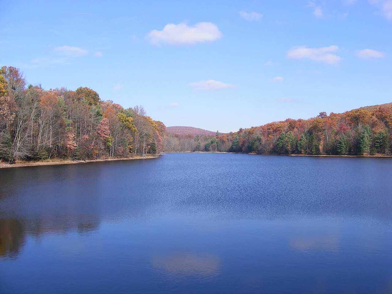 Woodchuck - Michaux Campsite #23
