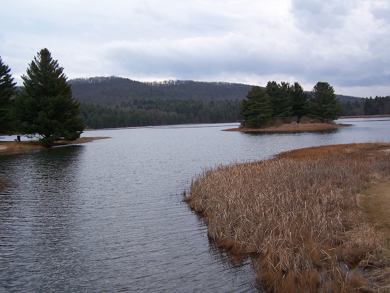 Group Camping Area
