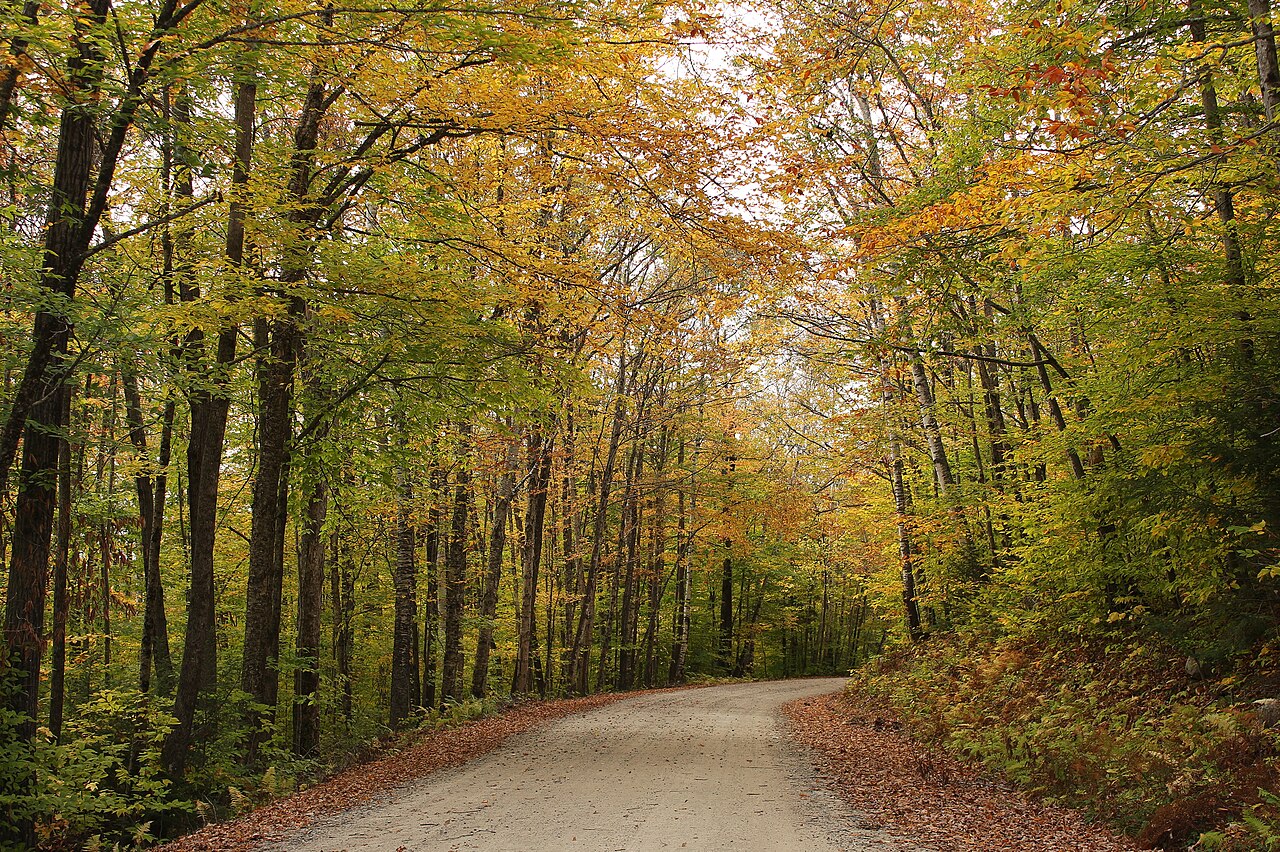 Tripoli Road Camping Area