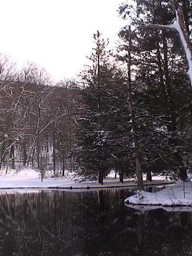 Walk In Camping