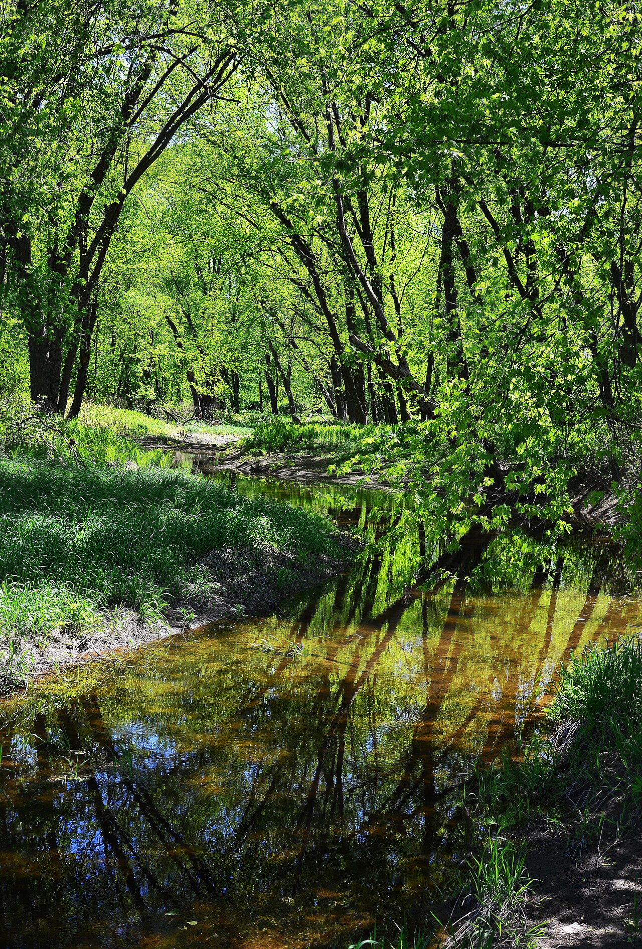 Buckaloons Campground