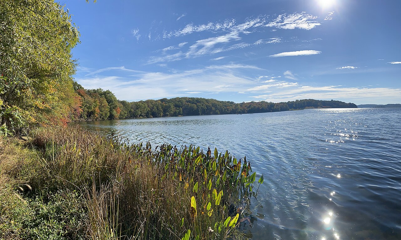 Widewater State Park Primitive Campsites