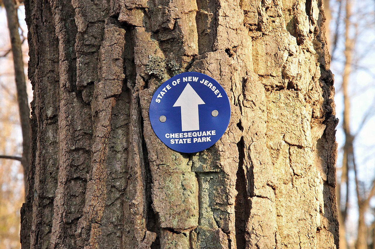 Cheesequake State Park Group Campground
