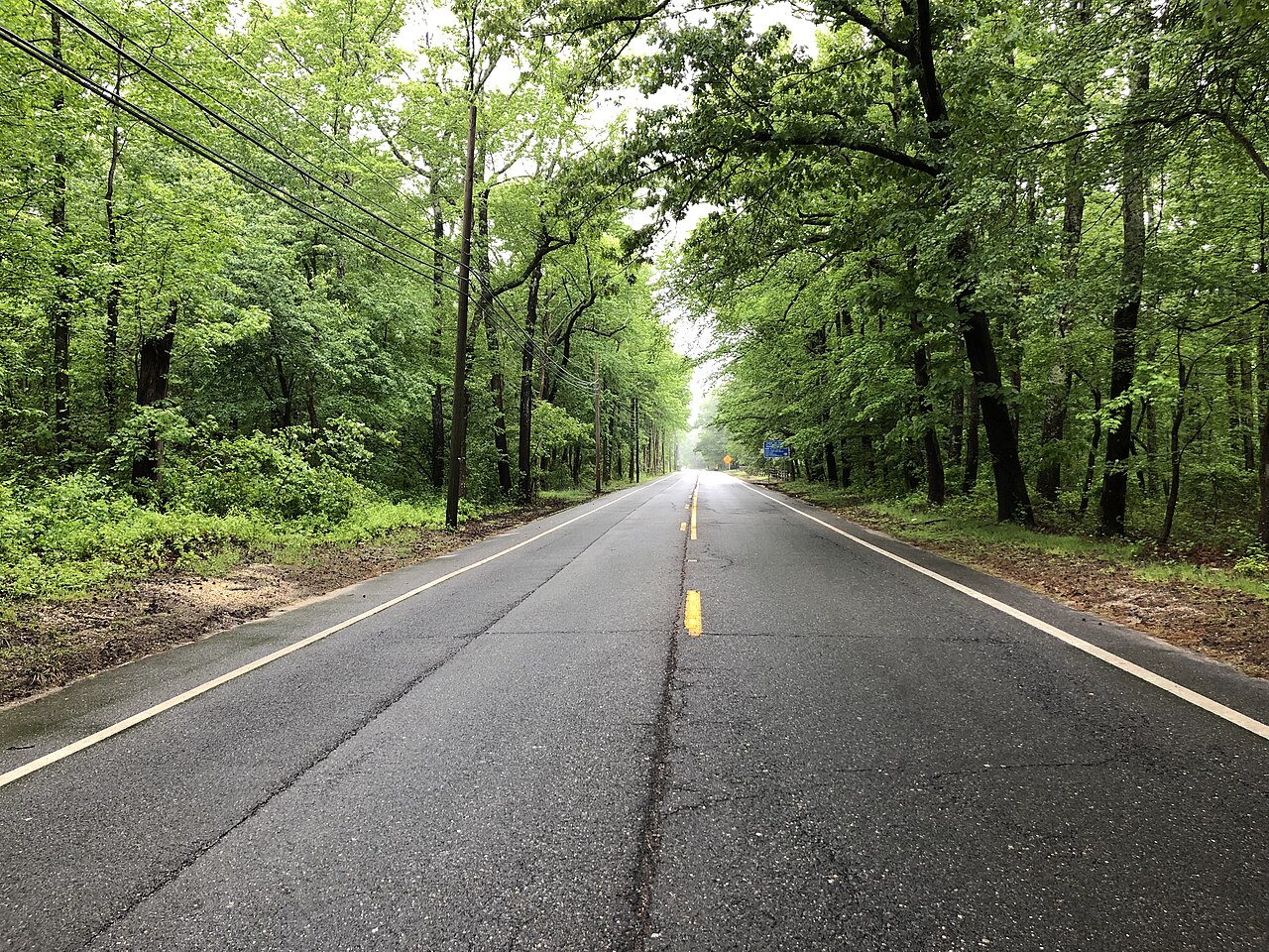 Allaire State Park Campground