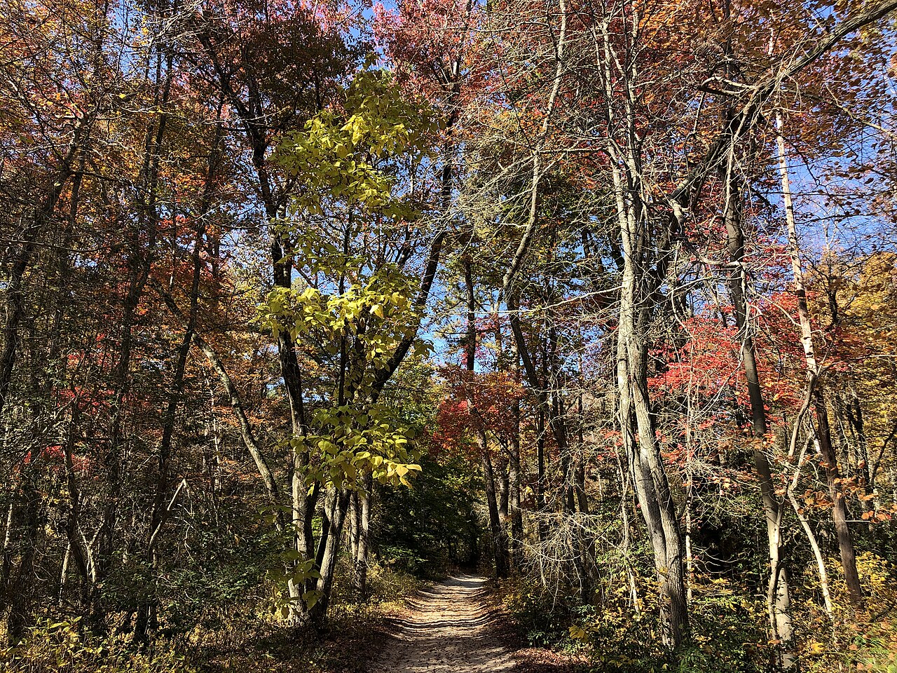 Timberland Lake Campground