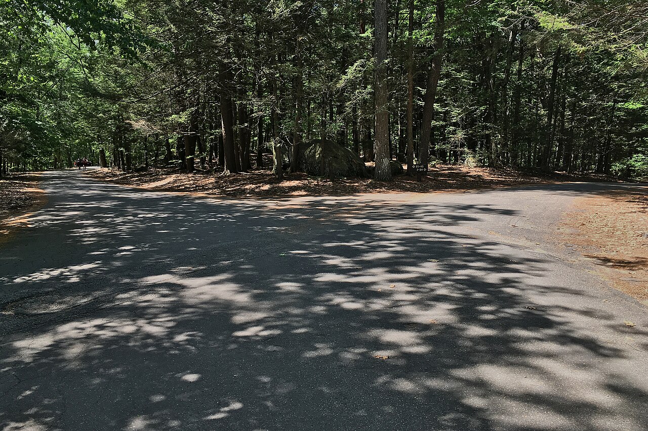 Horse Island Campground