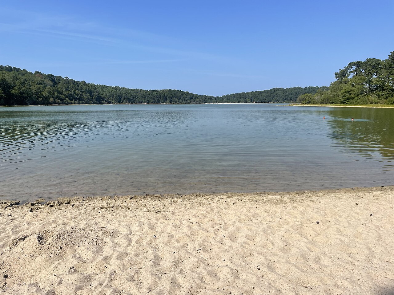 Nauset Academy - Youth Forestry Camp