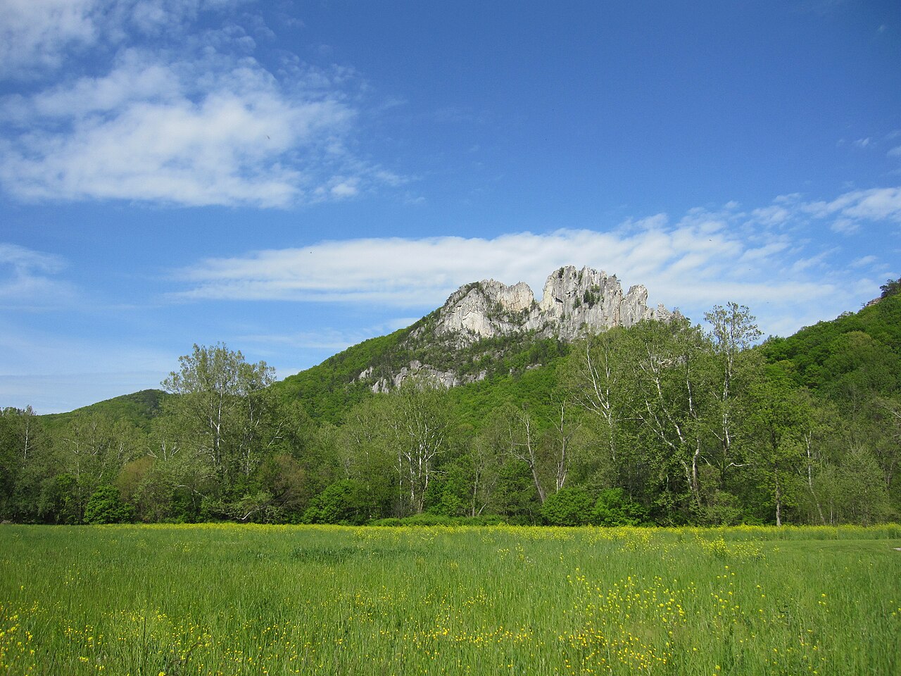 Yokum's Campground