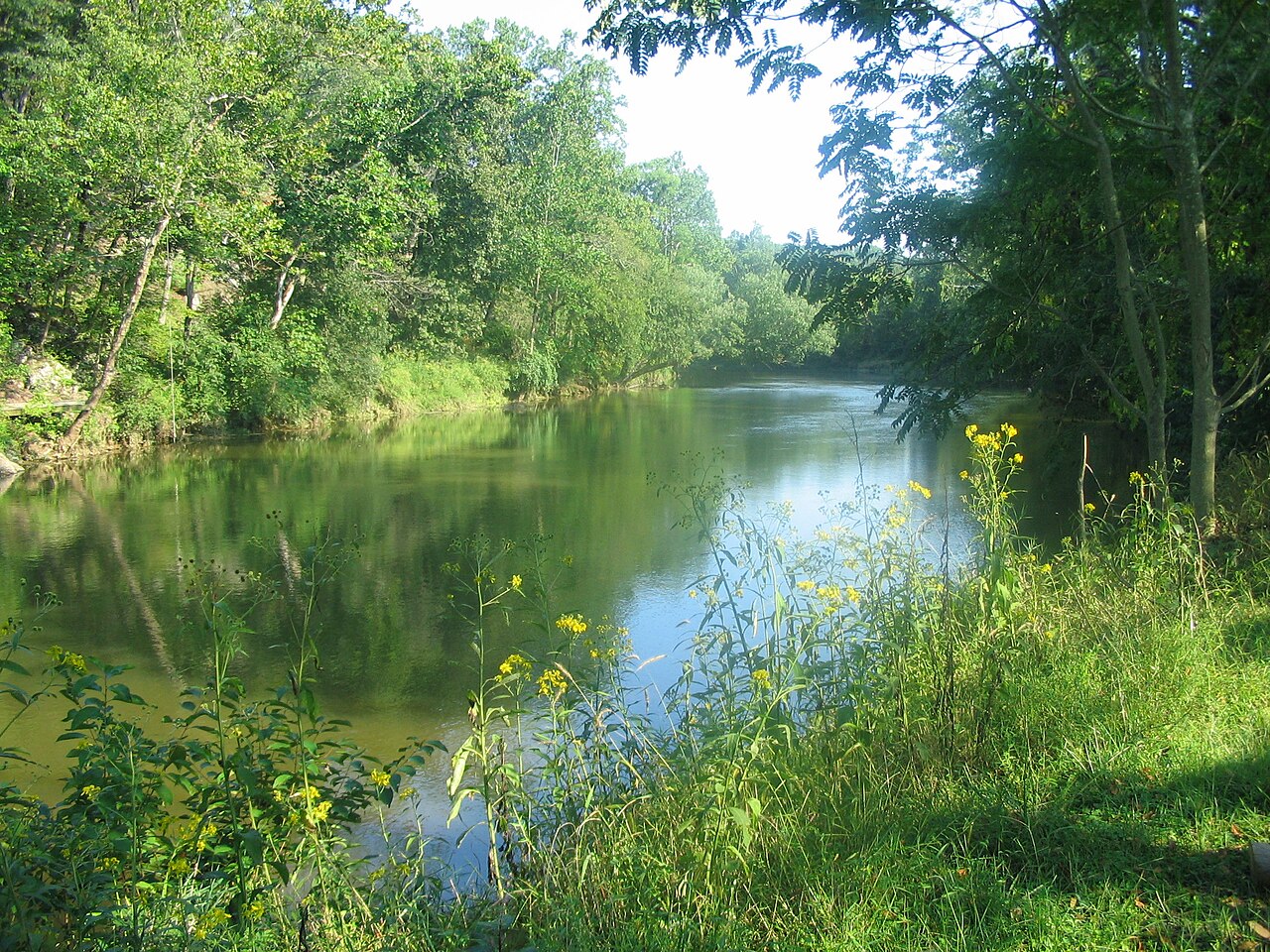 Camp Sandy Cove