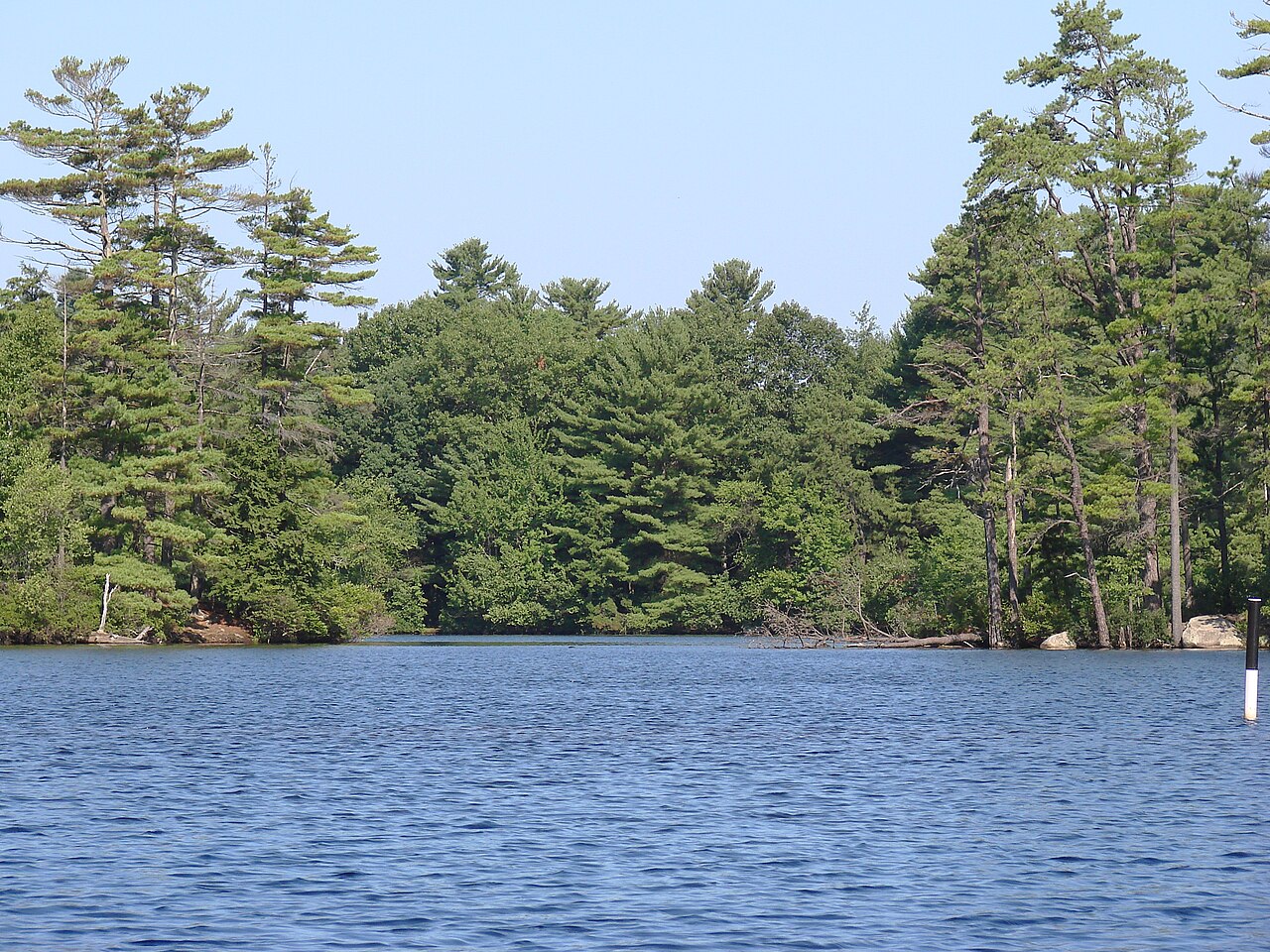 Neal's Cove Camping Area