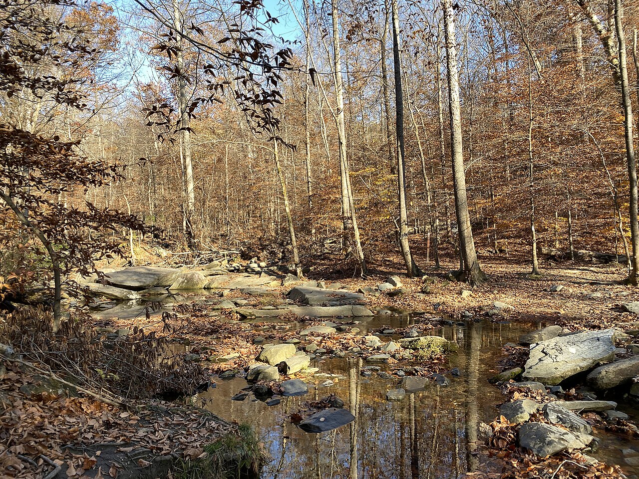 Hilton Area Family Camping