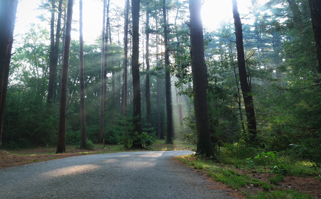 Camp Evergreen