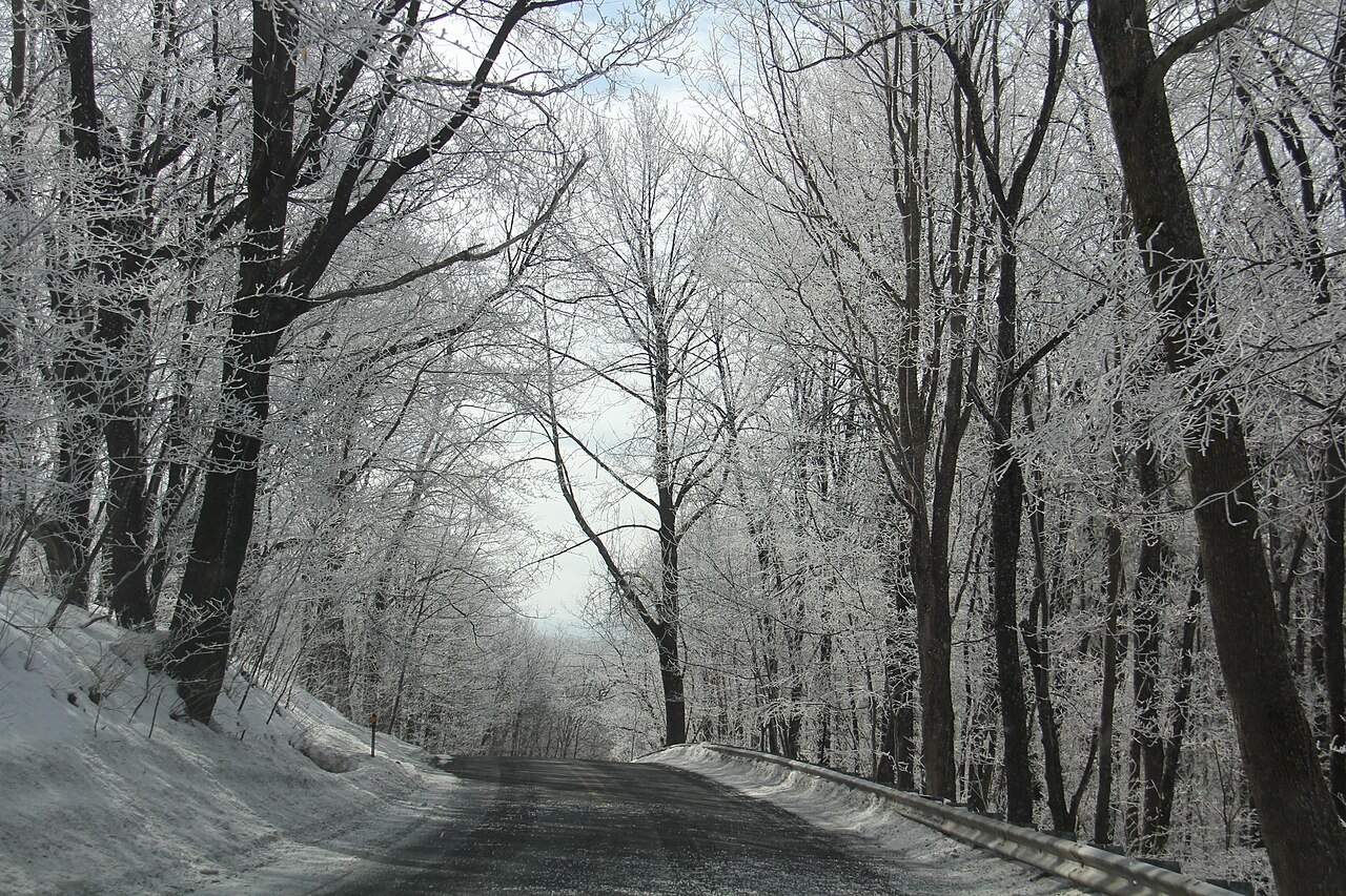 Blue Knob Camping Area