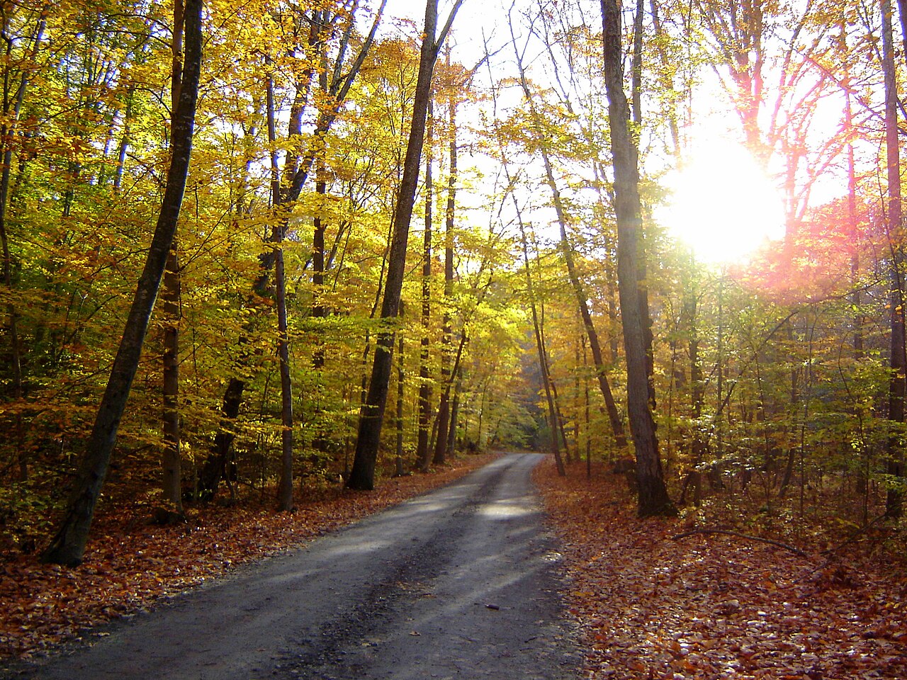 Susquehanna State Park Campground