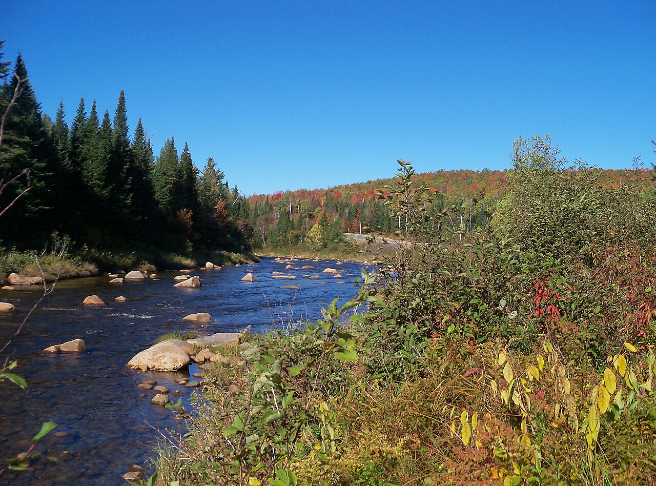 Beech Hill Campground and Cabins