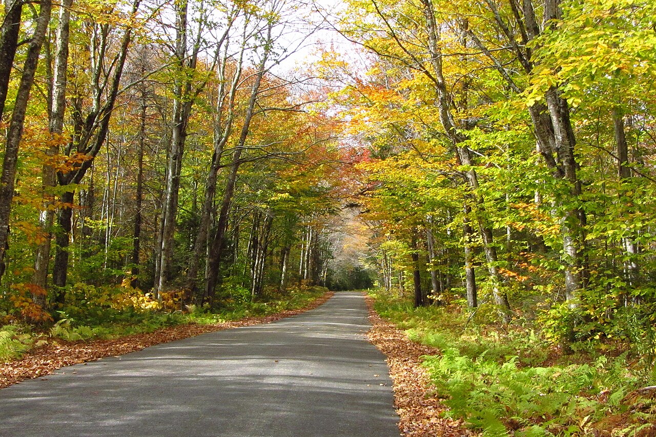 Osceola Vista Campground