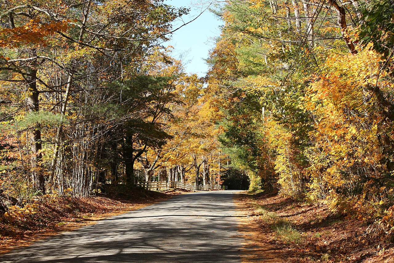 Goose Hollow Camp & RV Park