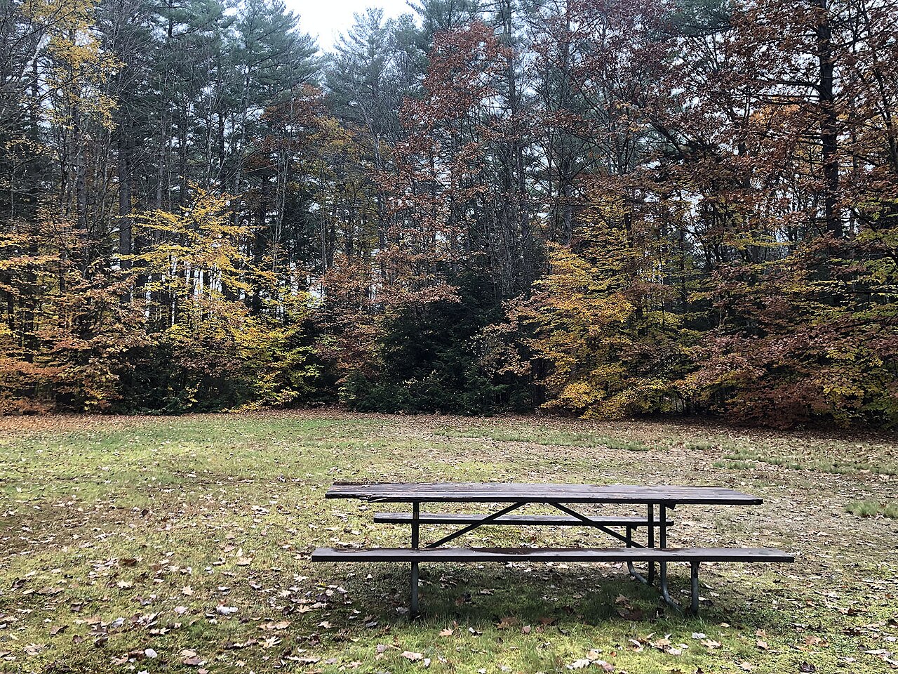 Campton Family Campground