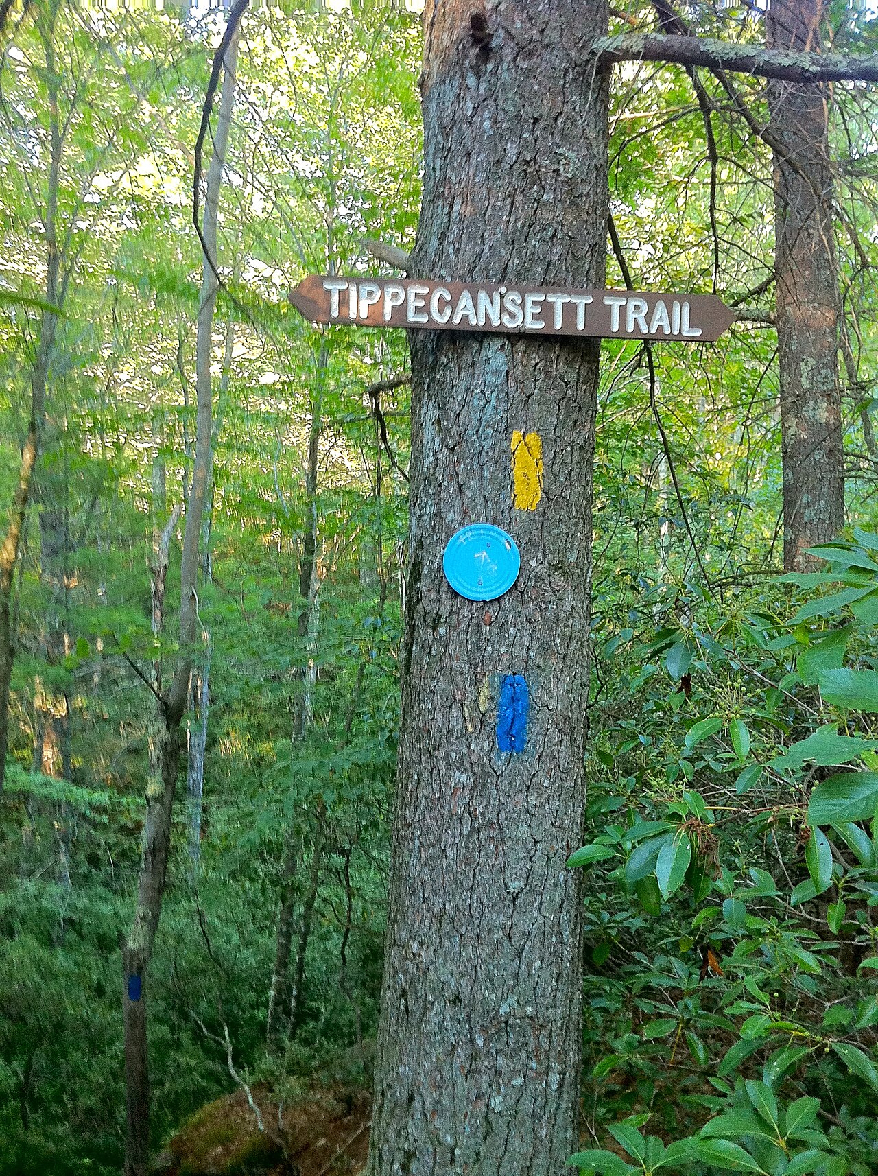 Whispering Pines Campground
