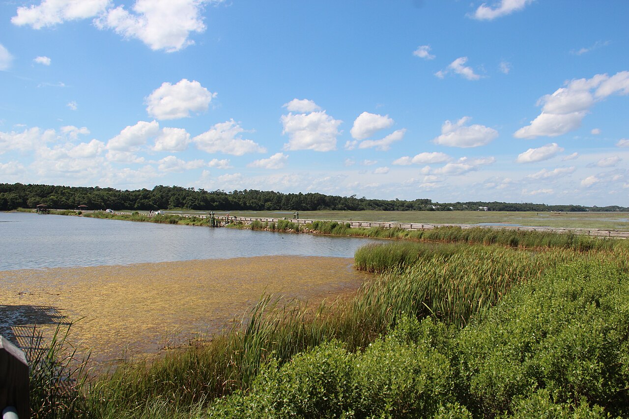 Huntington Beach State Park Campground