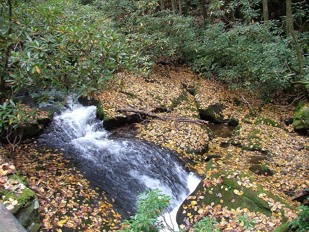 Twentymile Creek #93