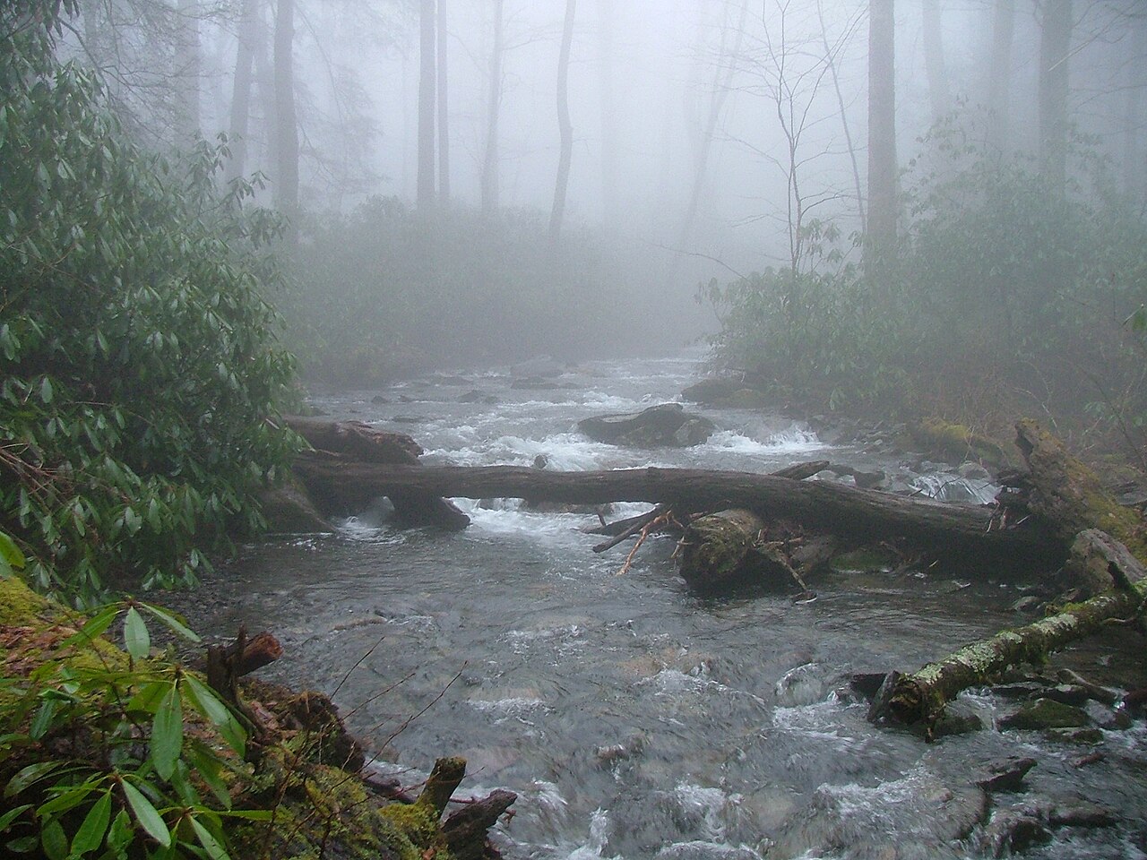 Porters Flat #31