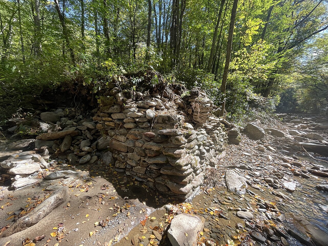 Upper Walnut Bottom #36