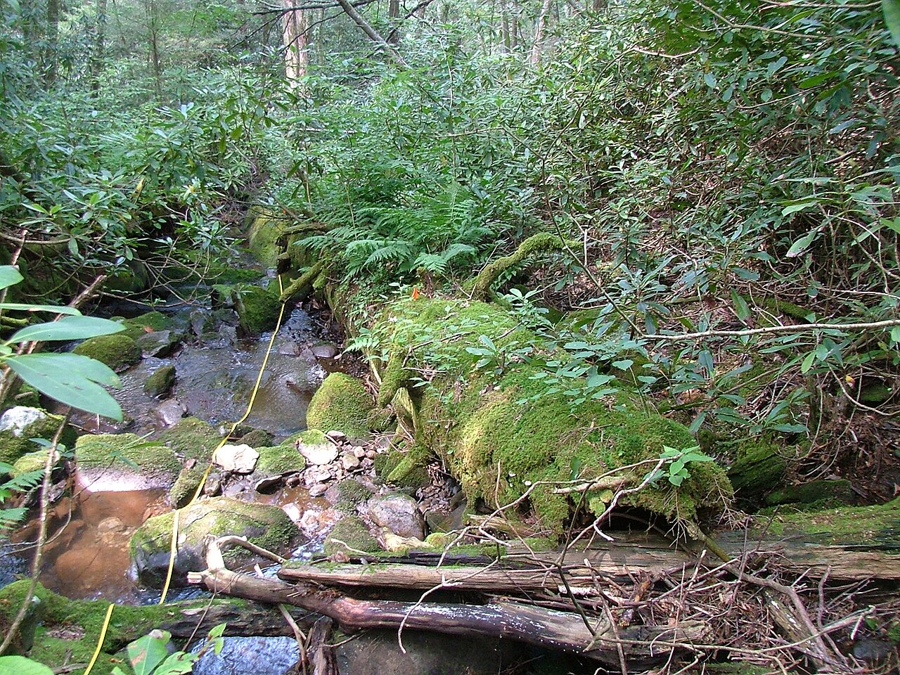 Otter Creek #29