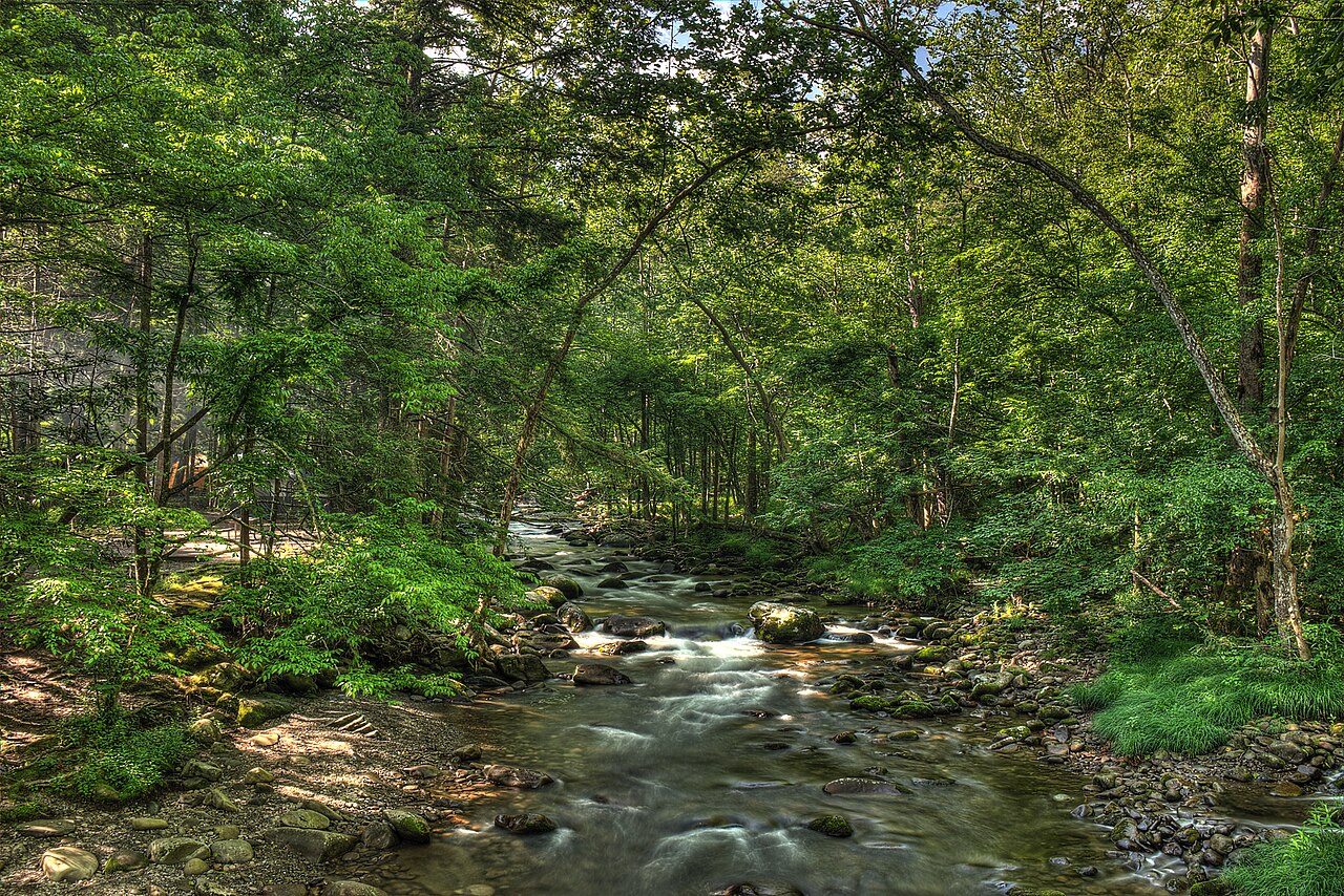 Elkmont Group Campground