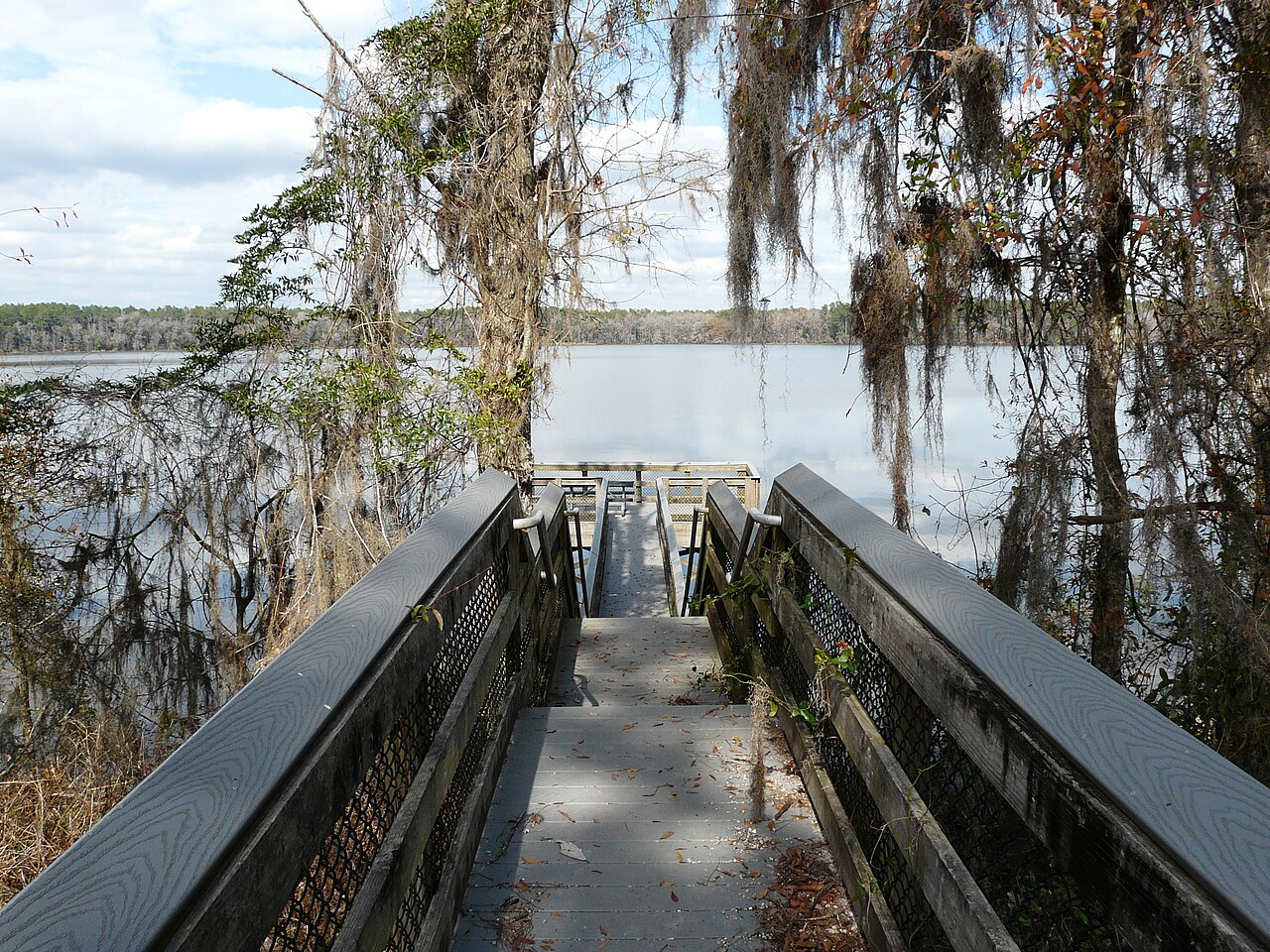 William's Landing Campground