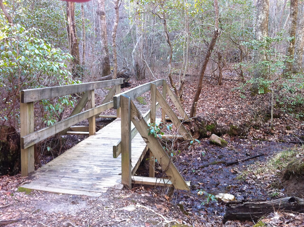 Amicalola Mountain