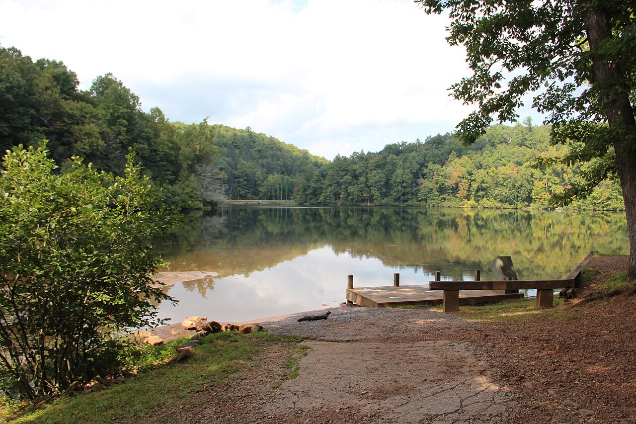 Jarrard Gap Campsite