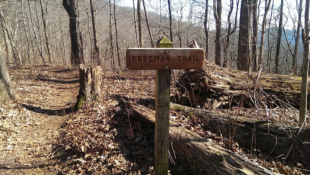 Freeman/AT Campsite