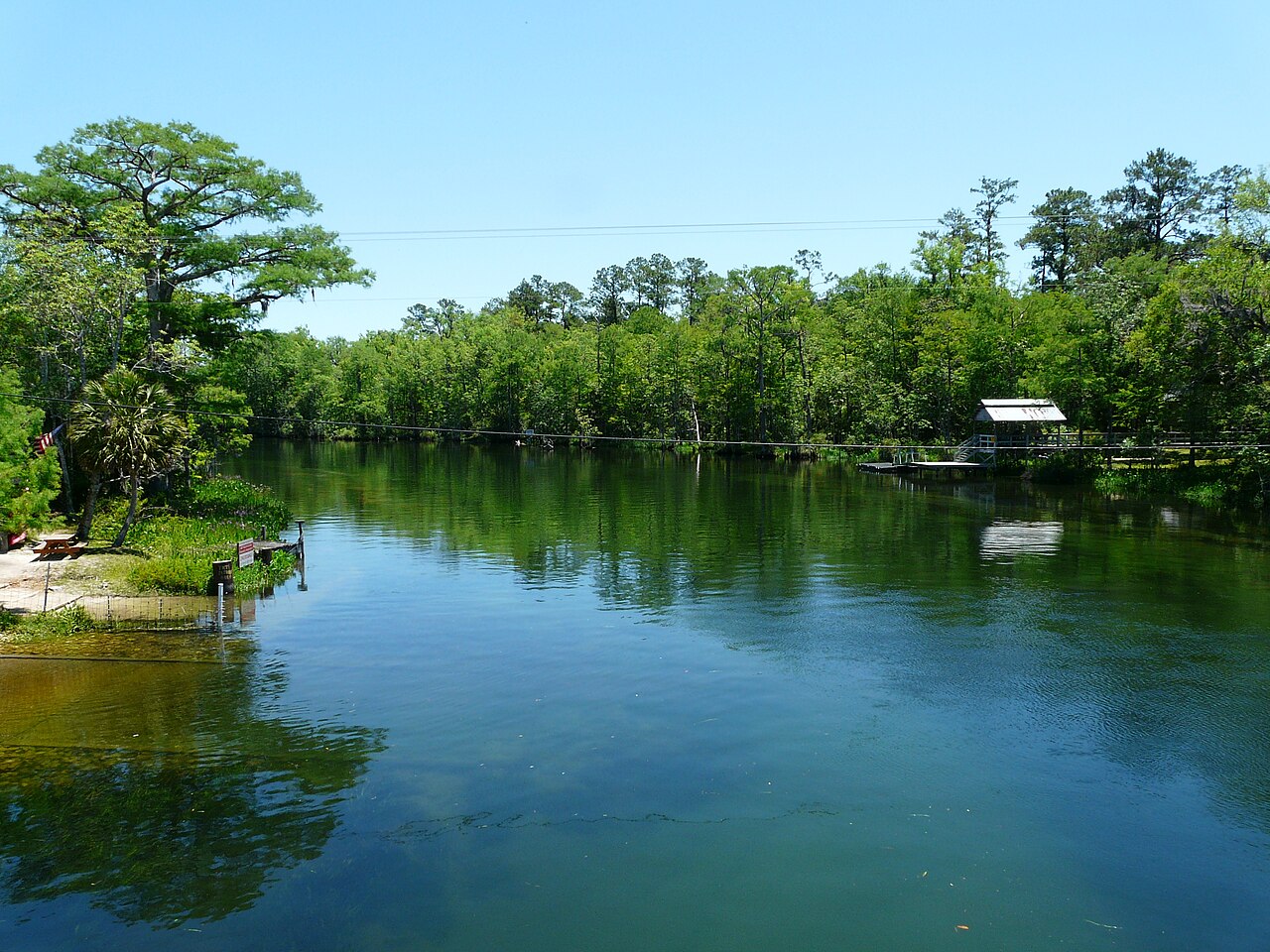 Wakulla River Campsite
