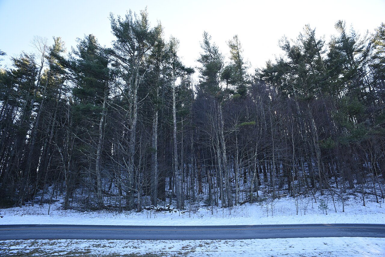 Deep Gap Campsite