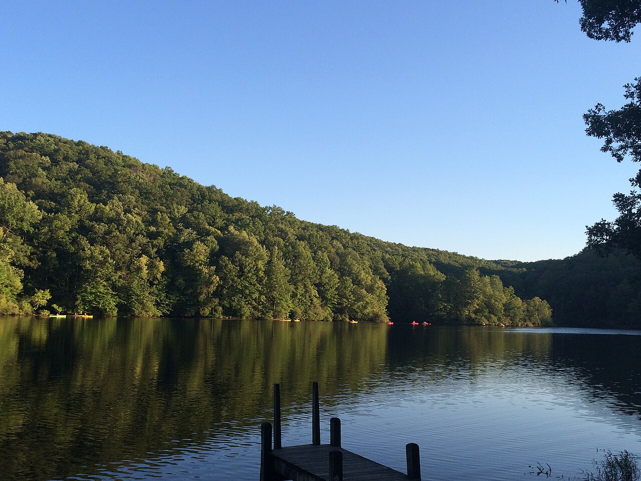 Bark Camp Recreation Area Campground